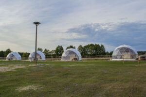 Namiot sferyczny 8m