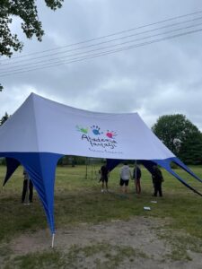 Namiot Gwiazda 14x9m