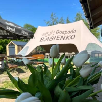 Namiot Gwiazda 14x9m